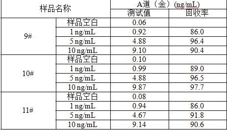 金索坤公司動態-泡沫的選擇b